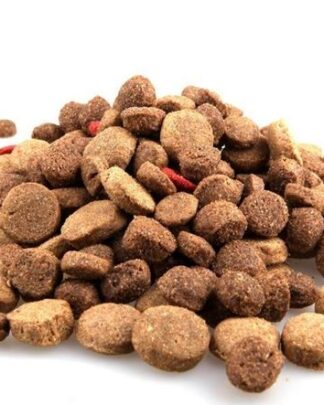 Cibo secco per cani